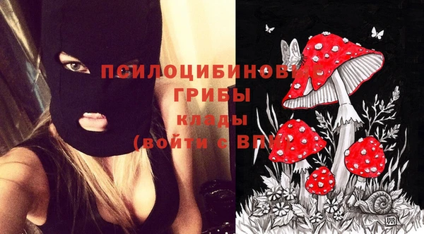 спиды Козловка
