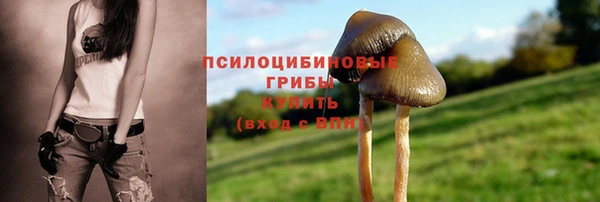 эйфоретик Кодинск