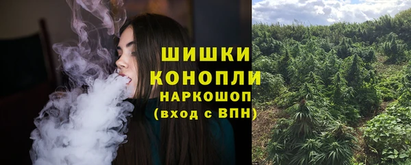 спиды Козловка