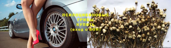 спиды Козловка